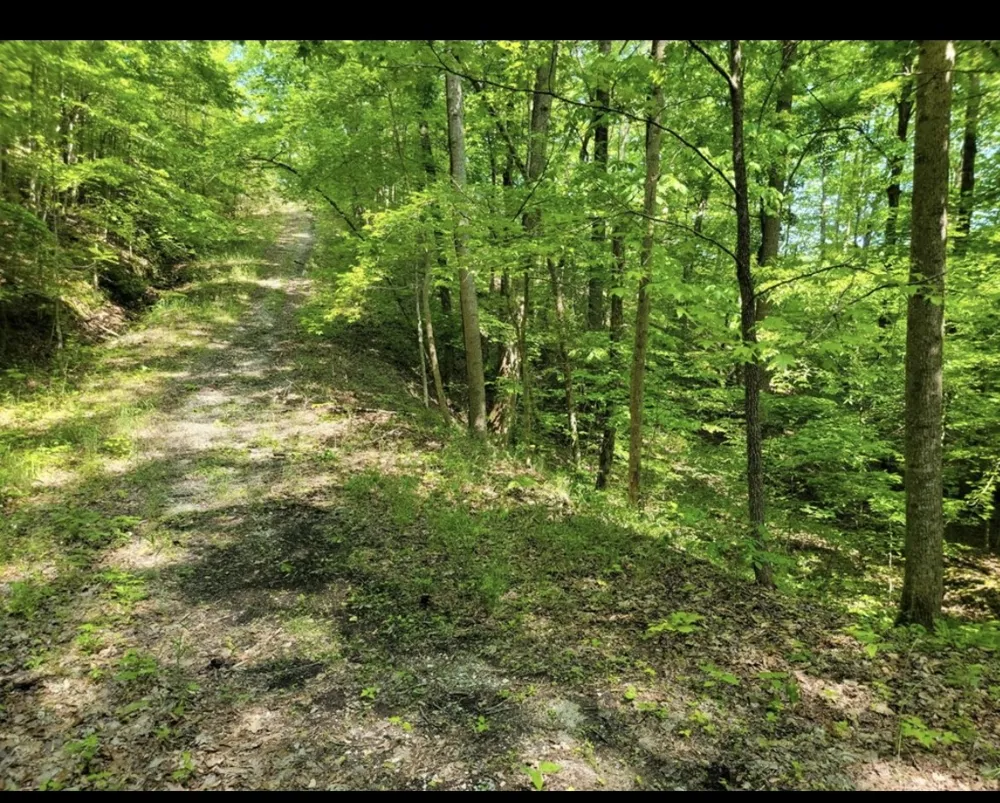 0 Shetland trace Sparta, TN 38583