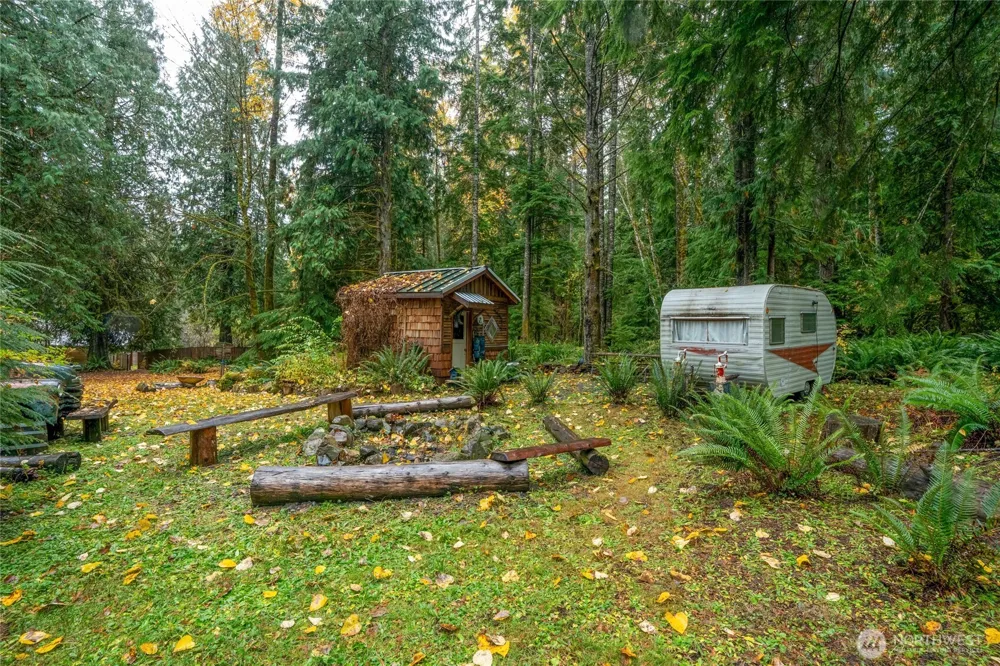 34509 State Route 706 Ashford, WA 98304