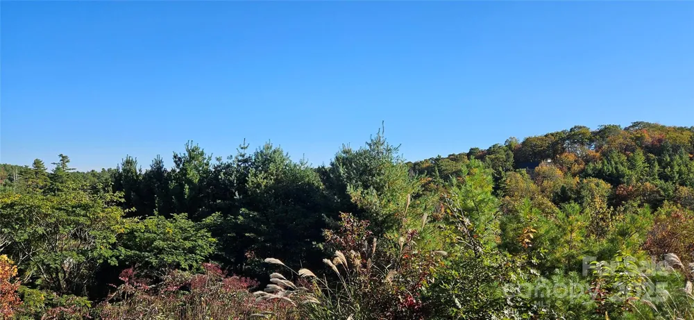 0 Clarktown Road Newland, NC 28657