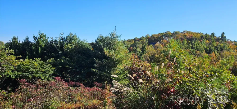0 Clarktown Road Newland, NC 28657