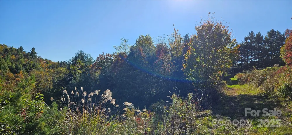 0 Clarktown Road Newland, NC 28657