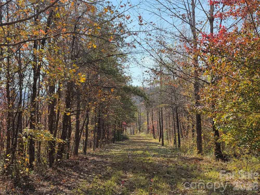 00 Hwy 221 Highway Marion, NC 28752