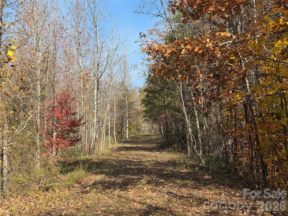 00 Hwy 221 Highway Marion, NC 28752