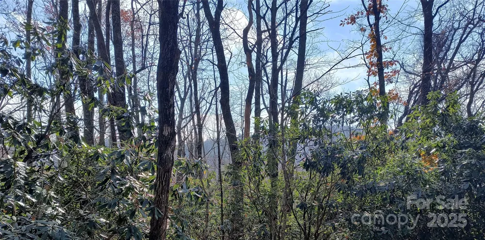 Lot 322 Sunny Drive Newland, NC 28657