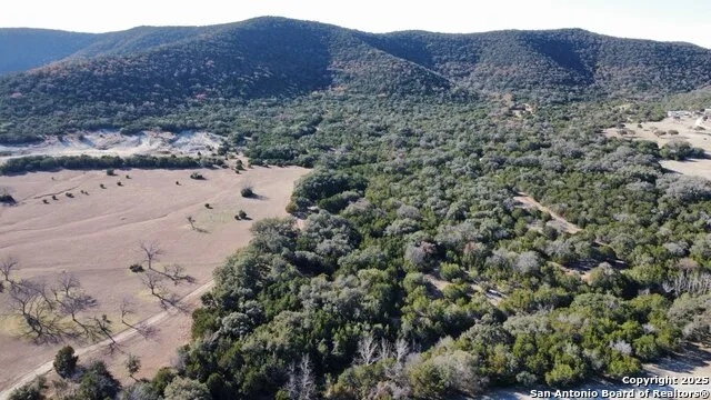 1543 Walter White Ranch Road Leakey, TX 78873