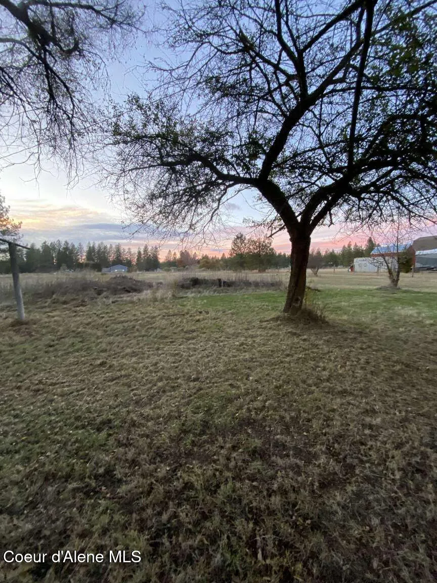 27603 Cottonwood Road Chattaroy, WA 99003
