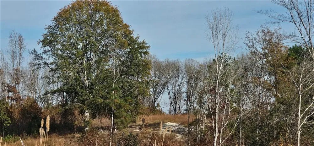 0 Old Eighty Five Road Sandersville, GA 31083