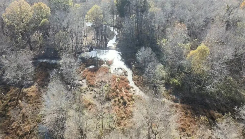 0 Old Eighty Five Road Sandersville, GA 31083