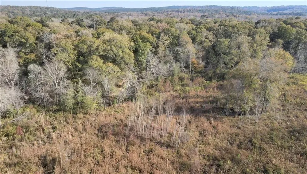 0 Old Eighty Five Road Sandersville, GA 31083