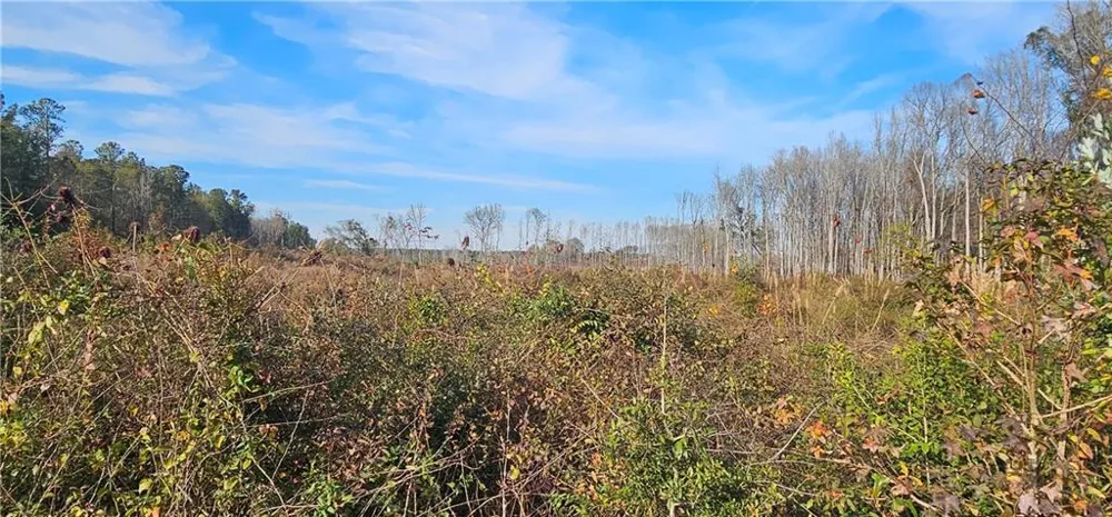 0 Old Eighty Five Road Sandersville, GA 31083