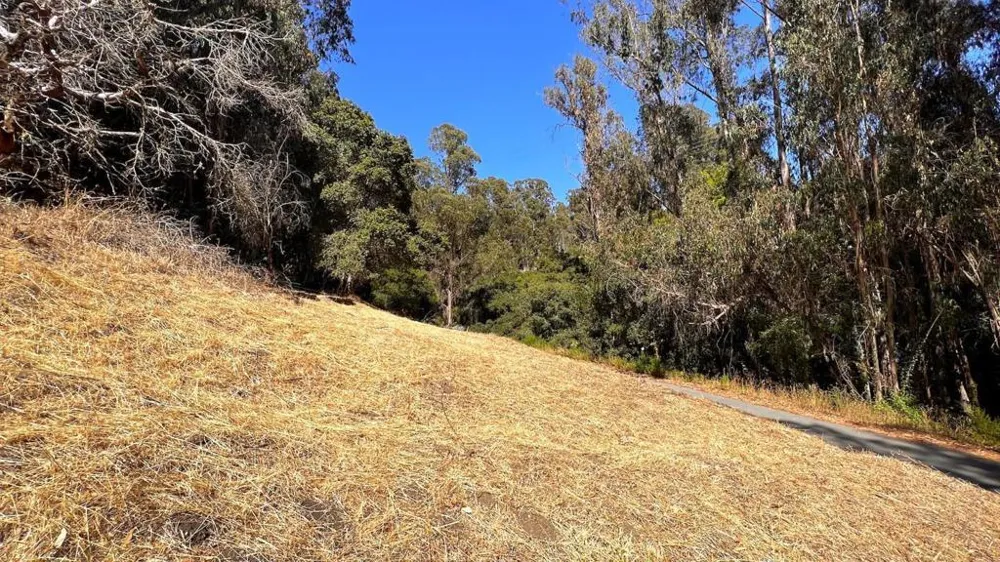 Lupine Lane Santa Cruz, CA 95065
