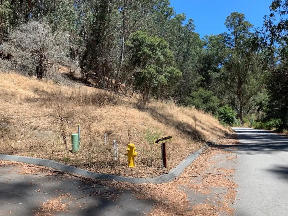 Lupine Lane Santa Cruz, CA 95065