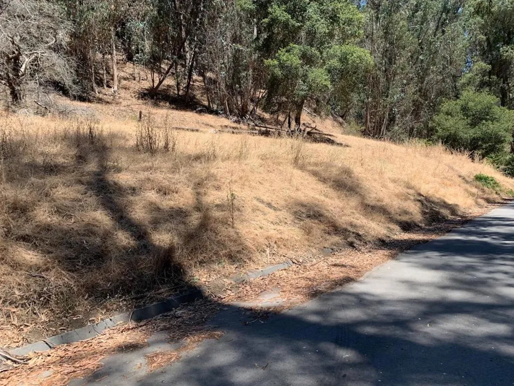 Lupine Lane Santa Cruz, CA 95065