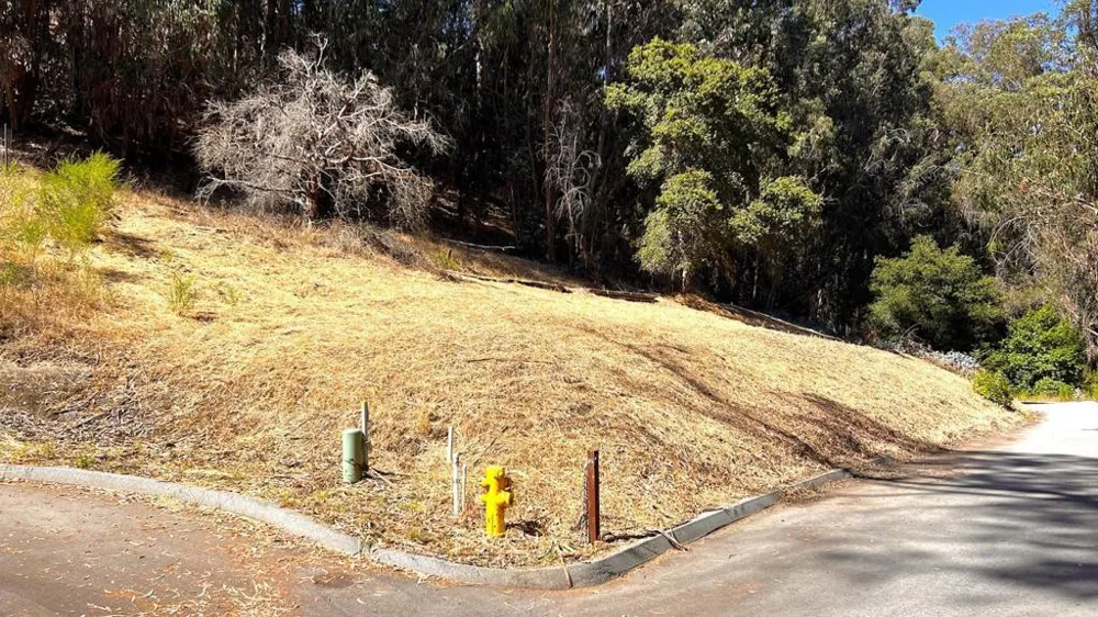 Lupine Lane Santa Cruz, CA 95065