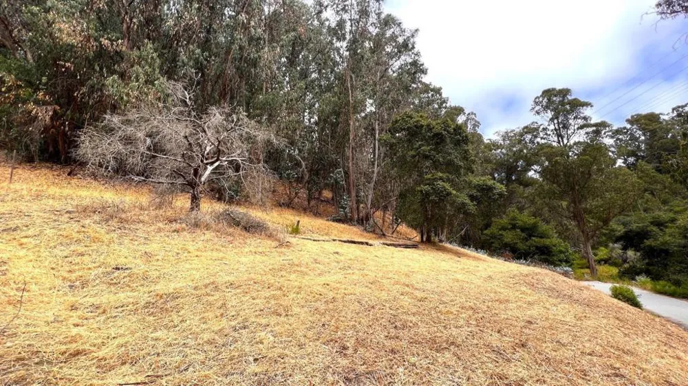 Lupine Lane Santa Cruz, CA 95065