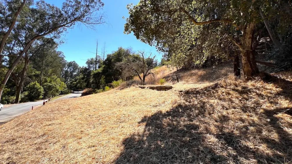 Lupine Lane Santa Cruz, CA 95065