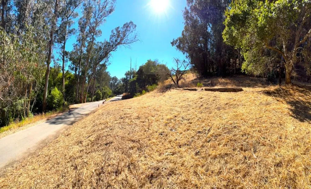 Lupine Lane Santa Cruz, CA 95065