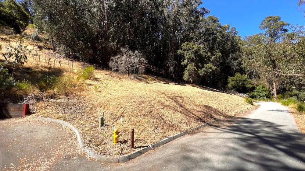 Lupine Lane Santa Cruz, CA 95065