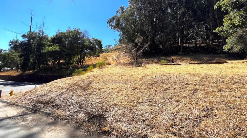 Lupine Lane Santa Cruz, CA 95065