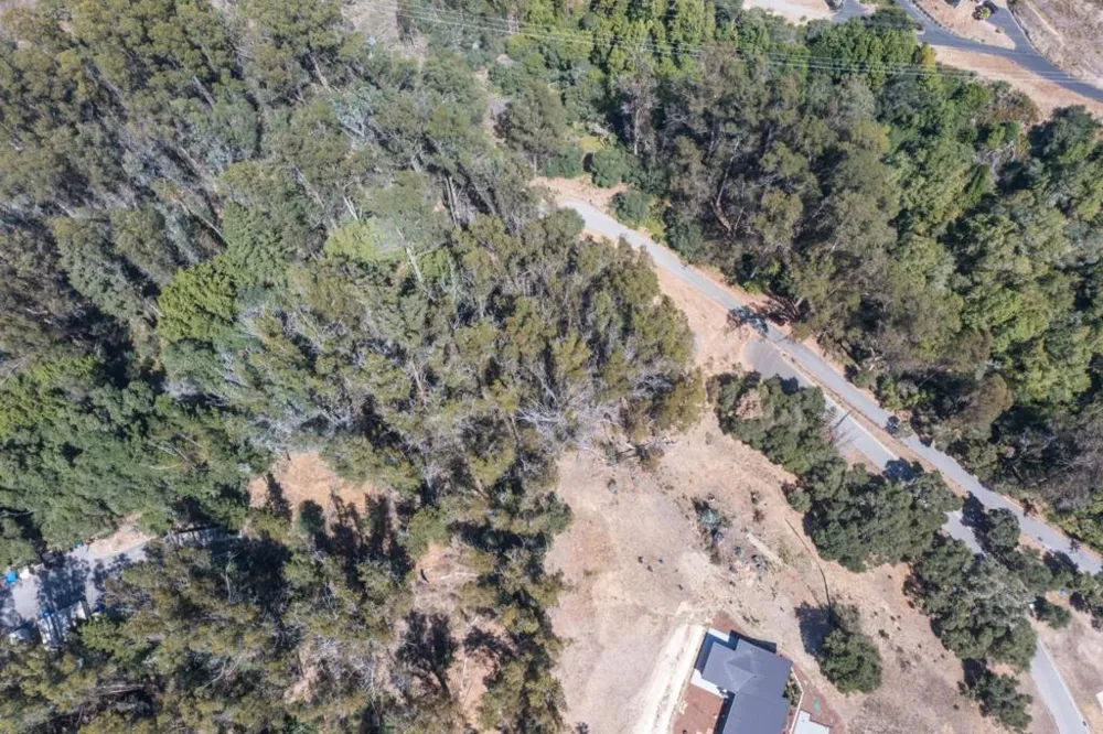Lupine Lane Santa Cruz, CA 95065