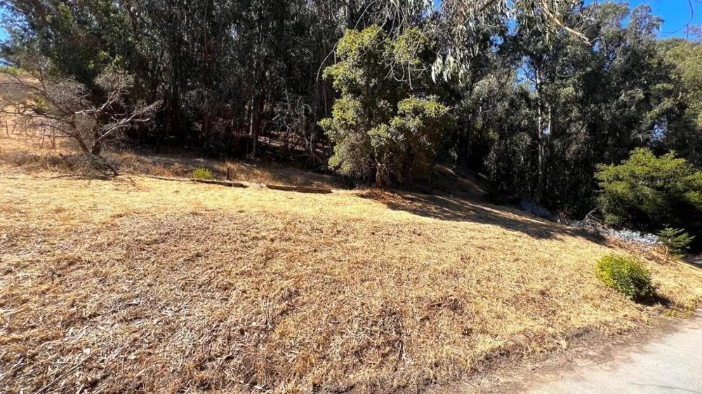 Lupine Lane Santa Cruz, CA 95065