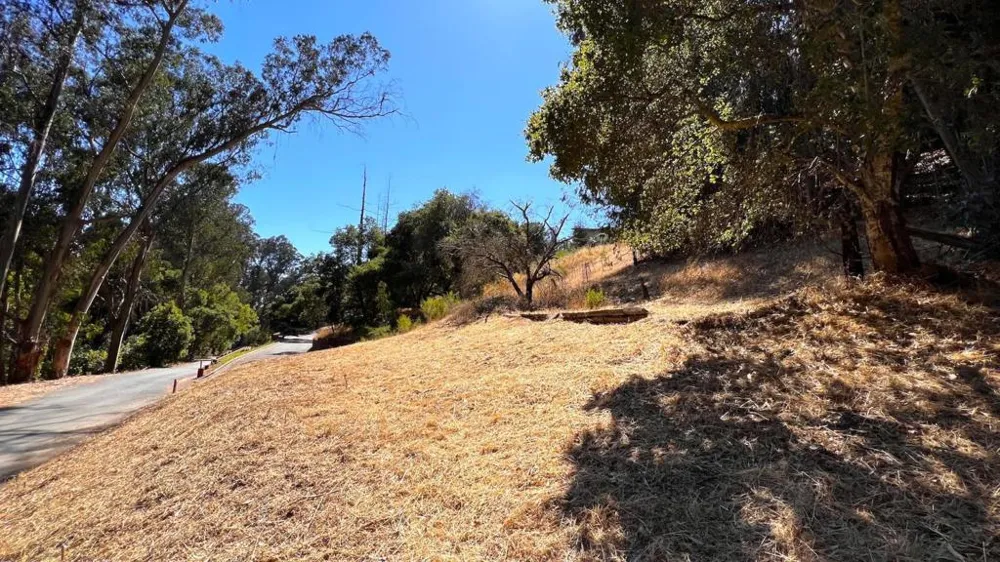 Lupine Lane Santa Cruz, CA 95065