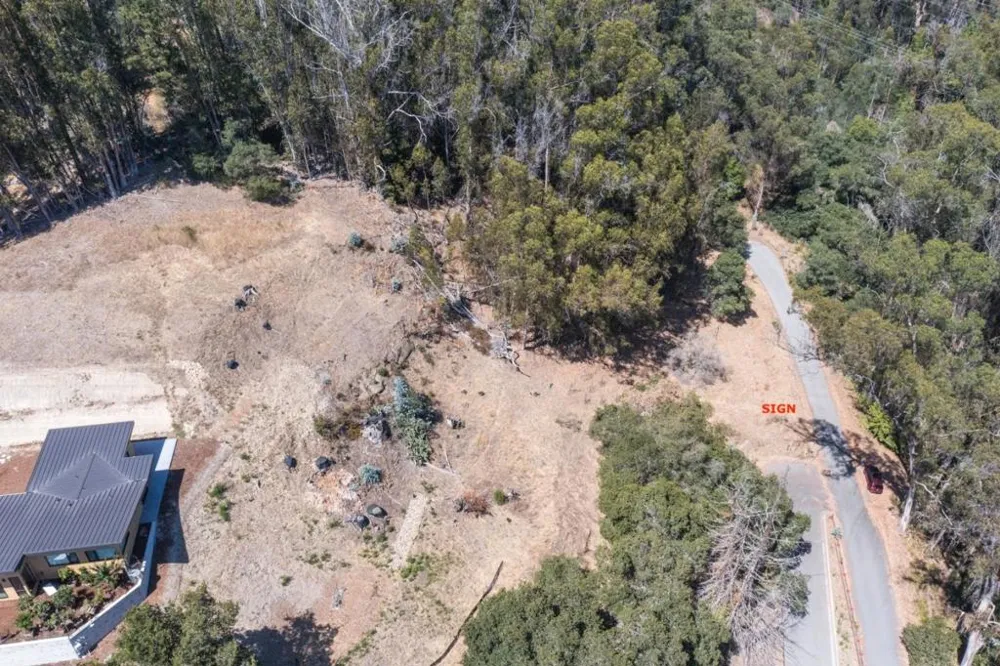 Lupine Lane Santa Cruz, CA 95065