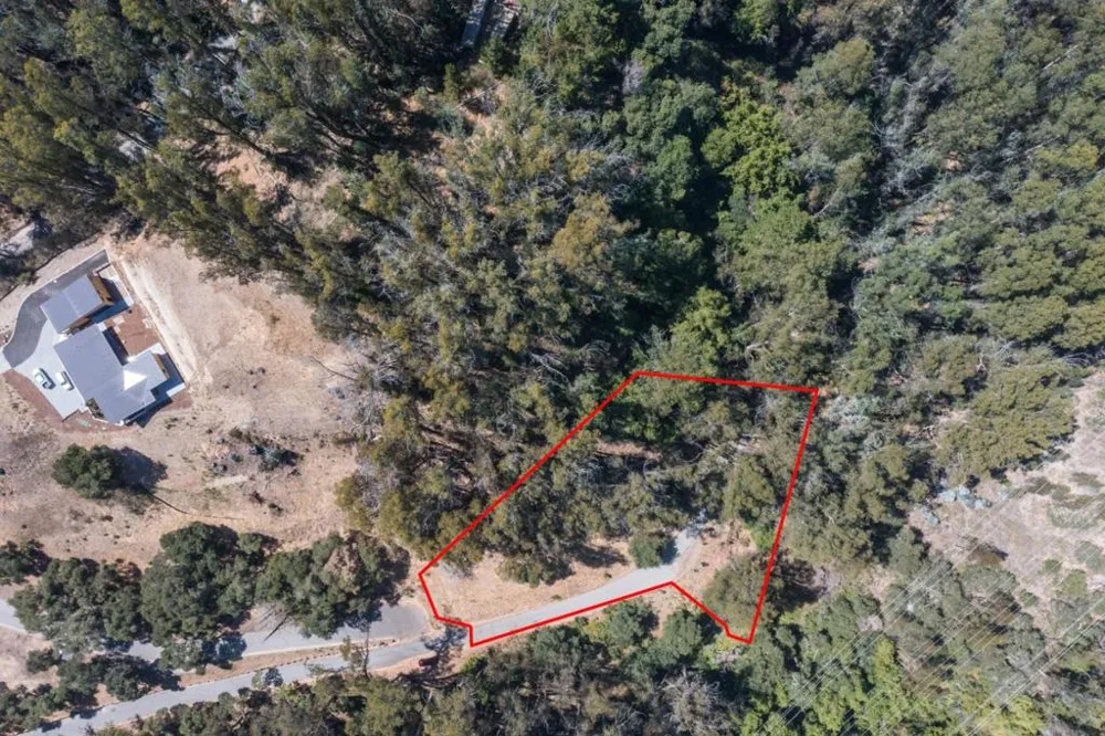 Lupine Lane Santa Cruz, CA 95065