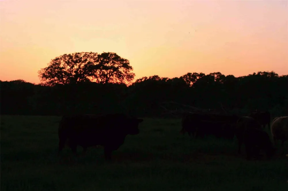 58 CR 102 ROAD Axtell, TX 76673
