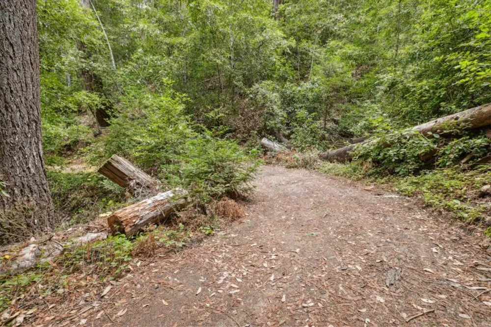 1365 Caledonia Avenue Ben Lomond, CA 95005