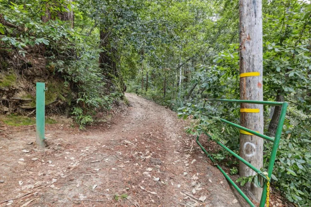 1365 Caledonia Avenue Ben Lomond, CA 95005