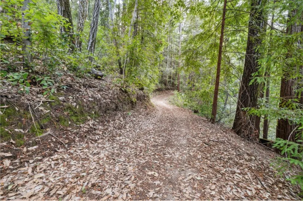 1365 Caledonia Avenue Ben Lomond, CA 95005