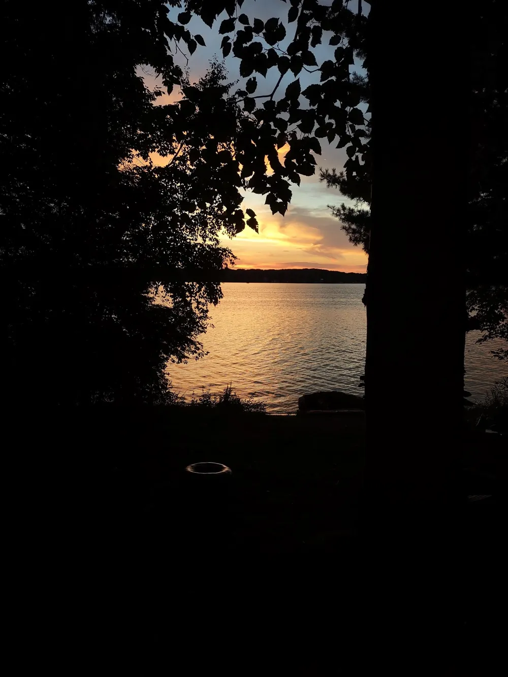 1335 W Outer Drive Long Lake Township, MI 49685