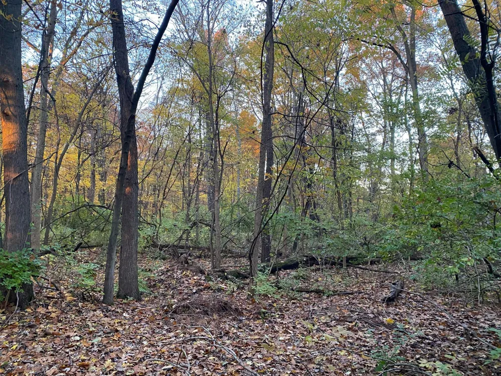 Oak Drive Three Rivers, MI 49093