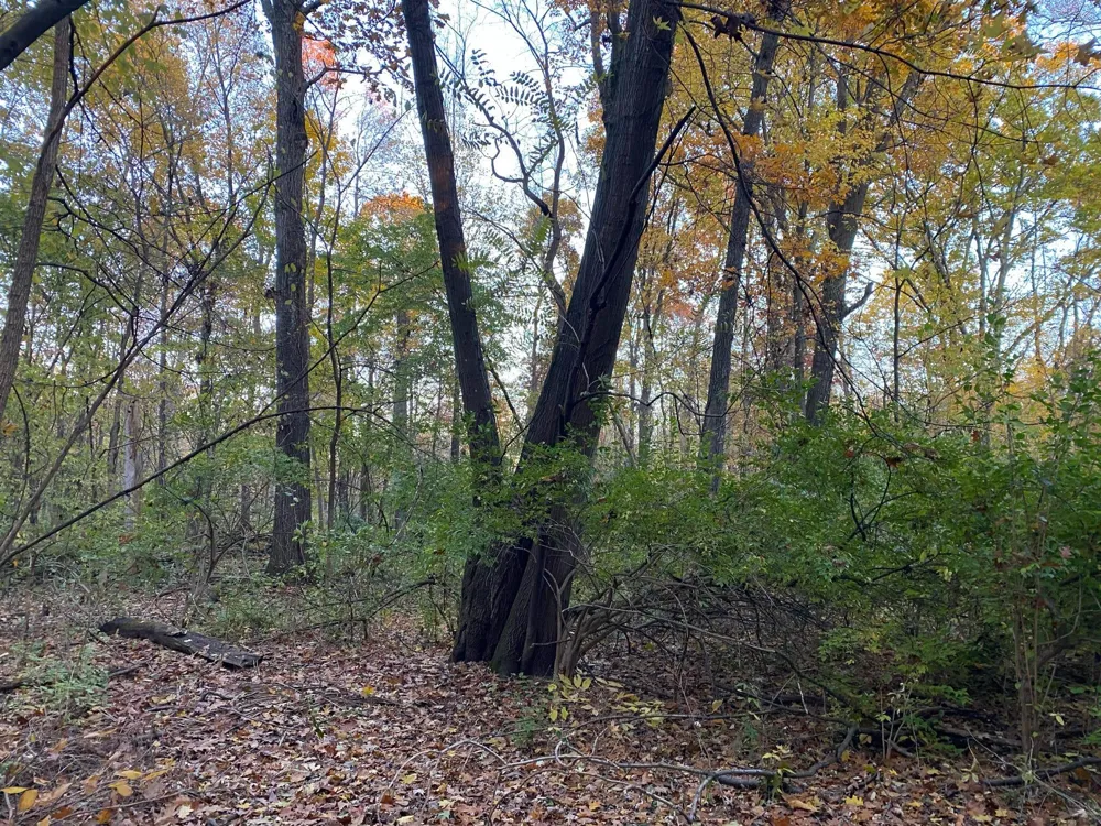 Oak Drive Three Rivers, MI 49093