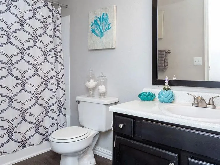 4600 West Pioneer Drive #357 Irving, TX 75061