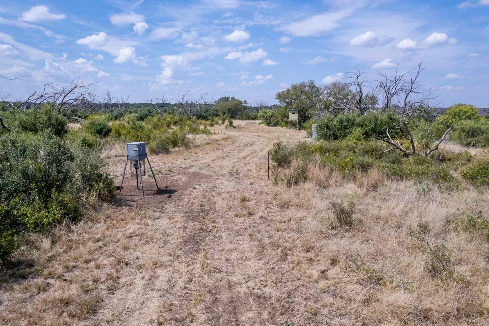 3995 FM 1176 Brownwood, TX 76801