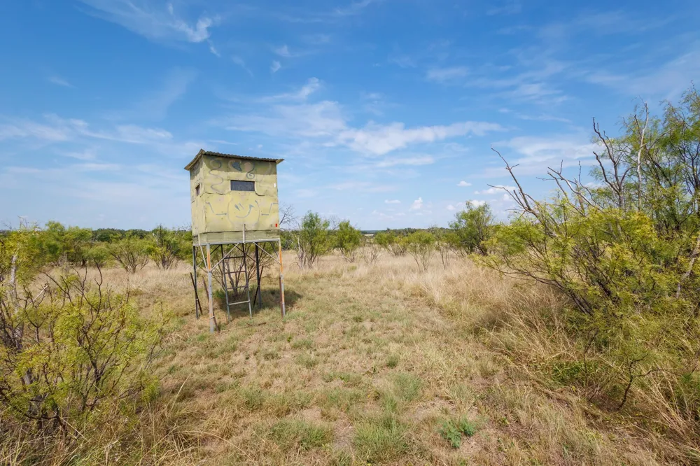 3995 FM 1176 Brownwood, TX 76801