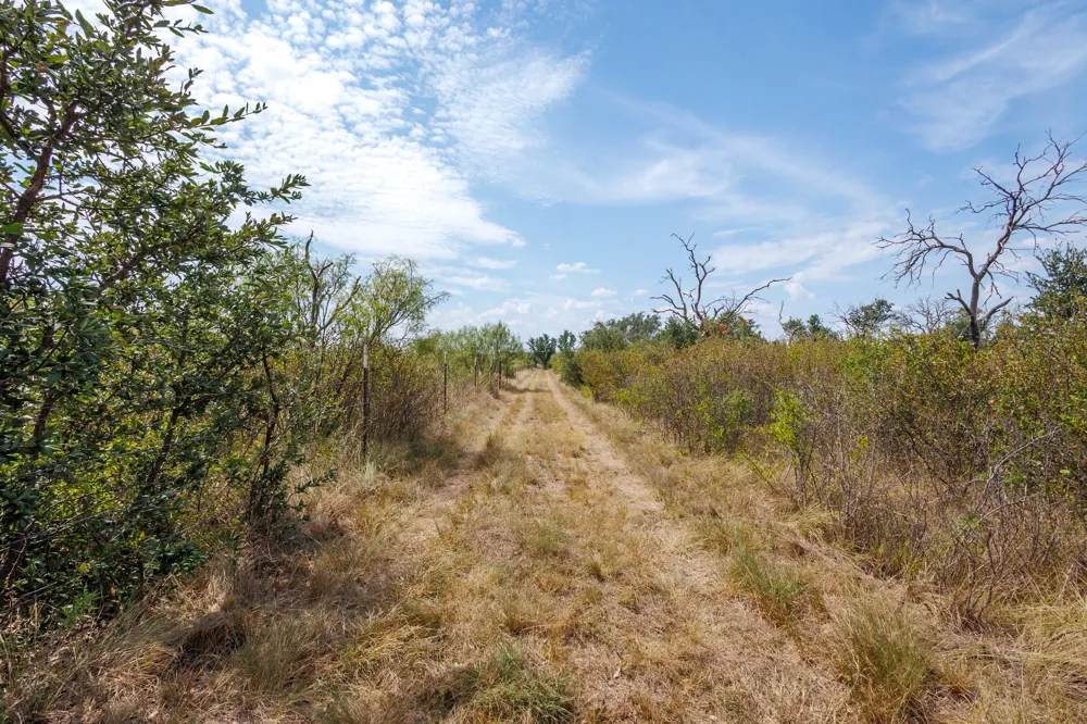 3995 FM 1176 Brownwood, TX 76801