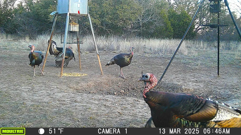 3995 FM 1176 Brownwood, TX 76801