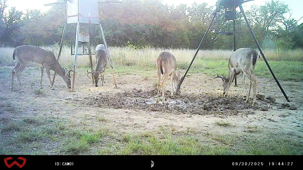 3995 FM 1176 Brownwood, TX 76801