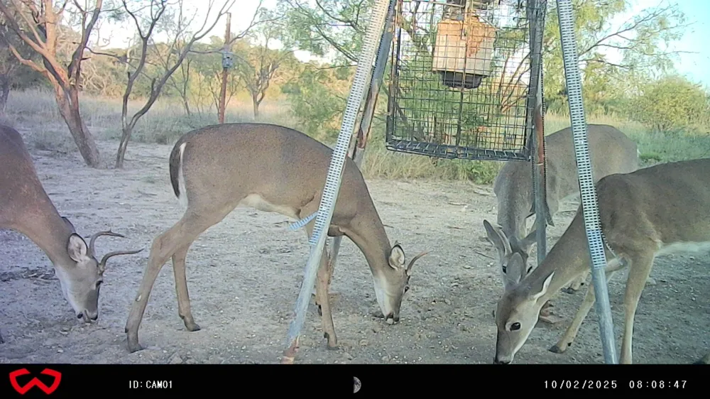 3995 FM 1176 Brownwood, TX 76801