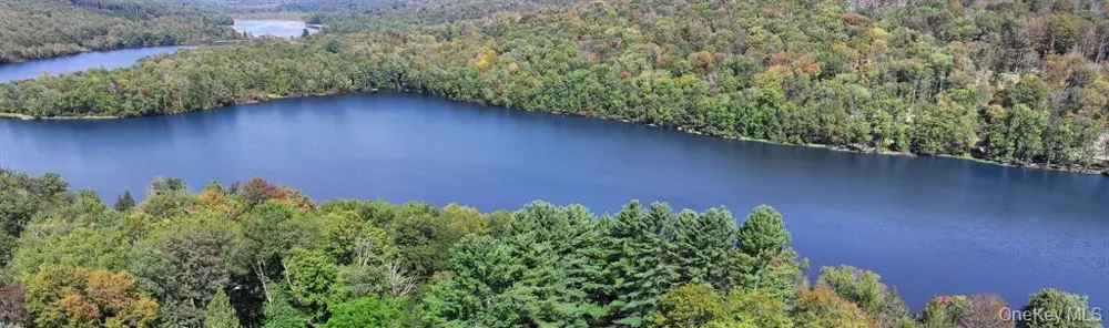 371 Kelly Bridge Road #373 Swan Lake, NY 12783