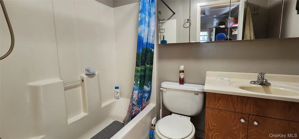 371 Kelly Bridge Road #373 Swan Lake, NY 12783