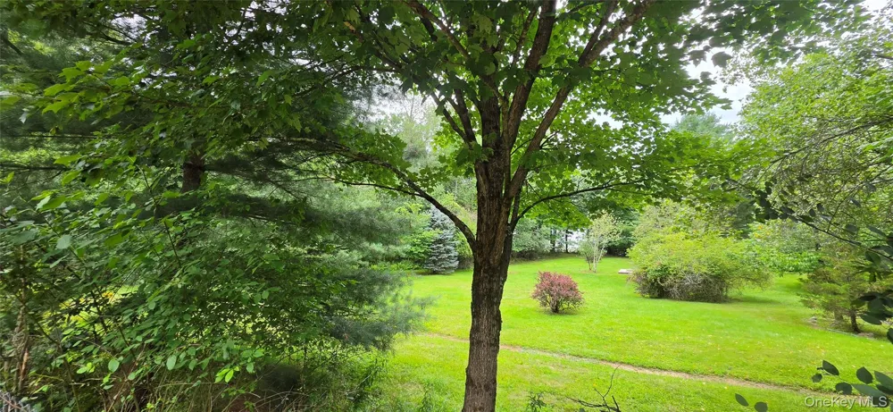 371 Kelly Bridge Road #373 Swan Lake, NY 12783