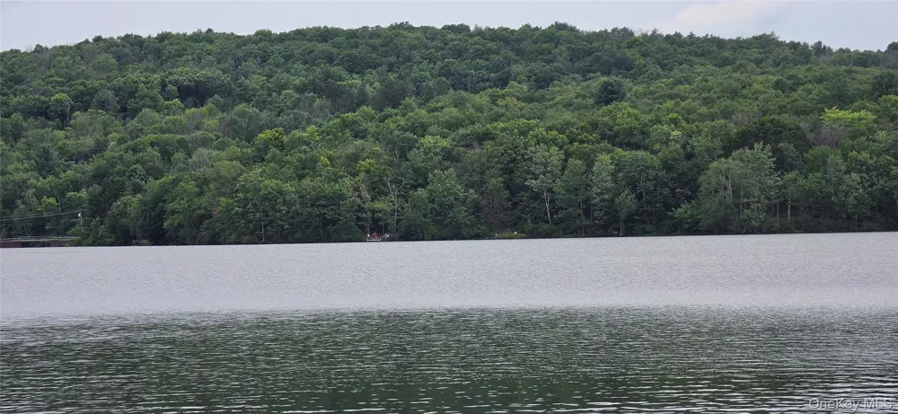 371 Kelly Bridge Road #373 Swan Lake, NY 12783