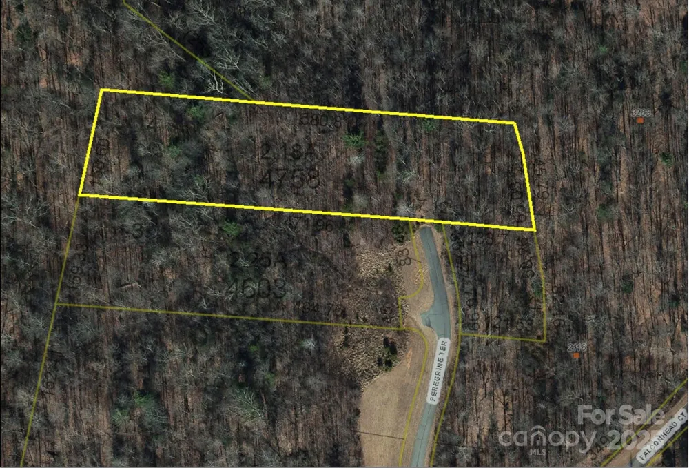 Lot# 4 Peregrine Terrace #4 Lenoir, NC 28645