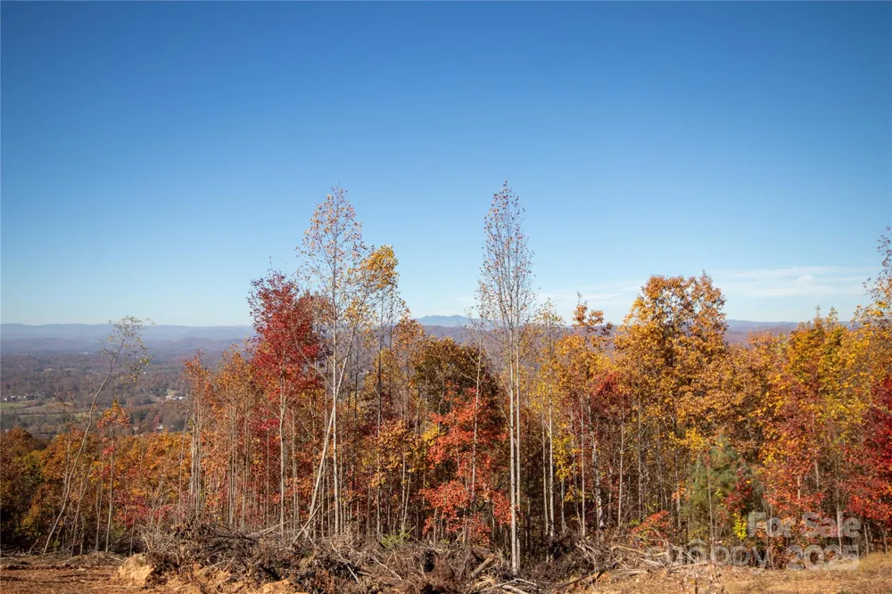 Lot# 4 Peregrine Terrace #4 Lenoir, NC 28645