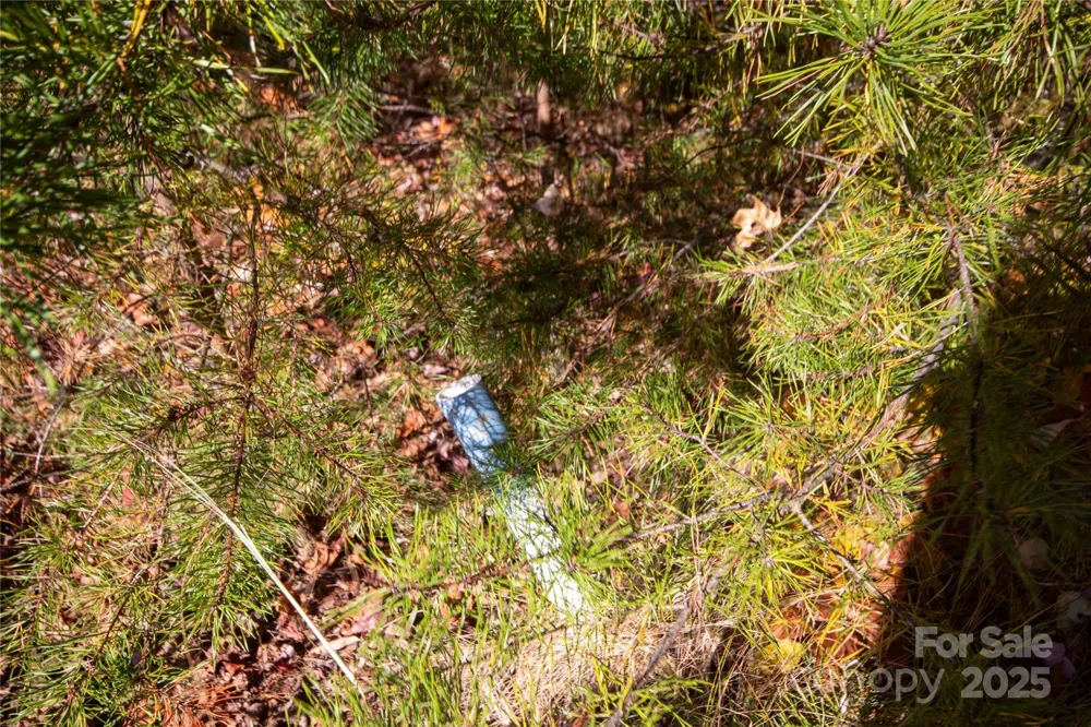 Lot# 4 Peregrine Terrace #4 Lenoir, NC 28645