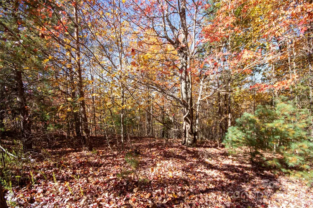 Lot# 4 Peregrine Terrace #4 Lenoir, NC 28645